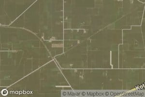 Bagha Purana Distributary