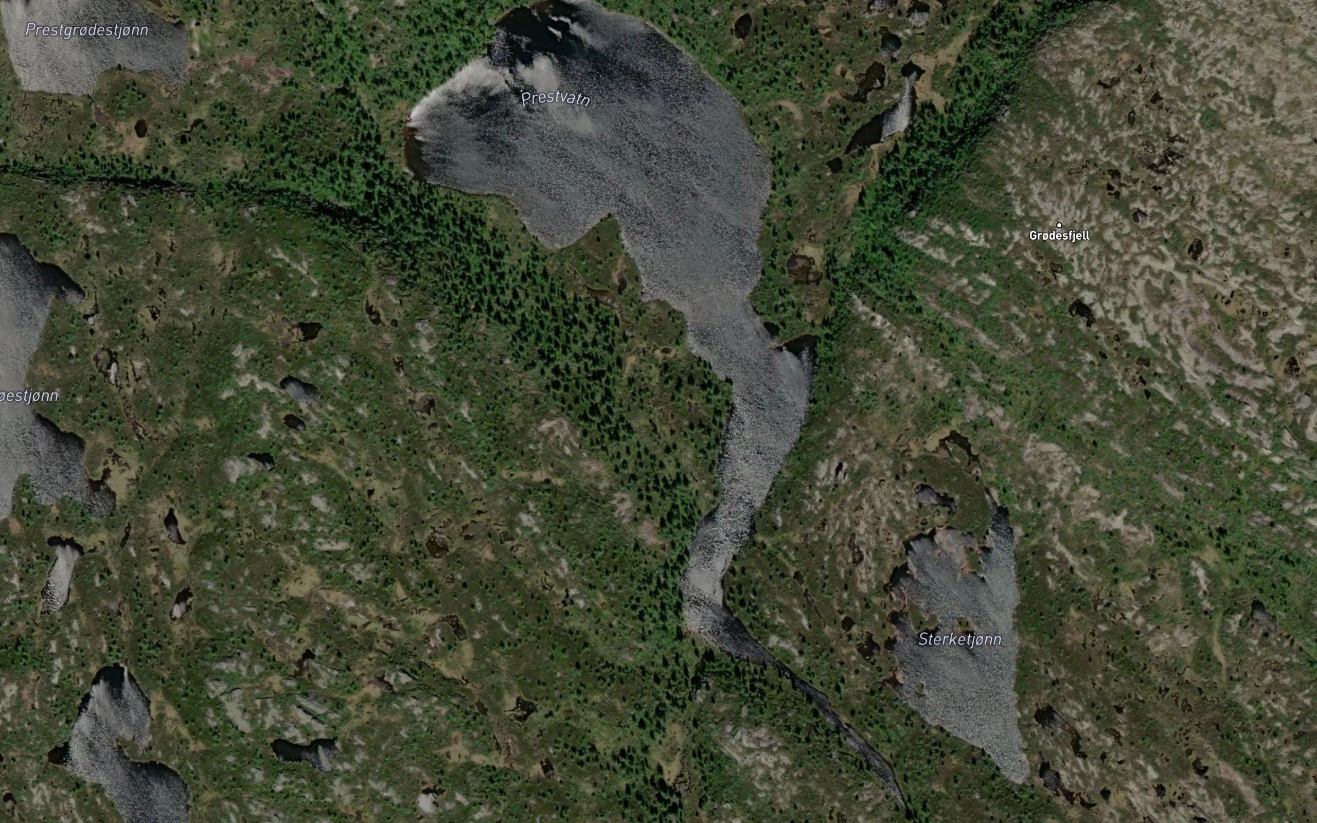 Prestvatn