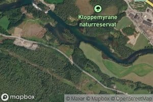 Kvitegrova