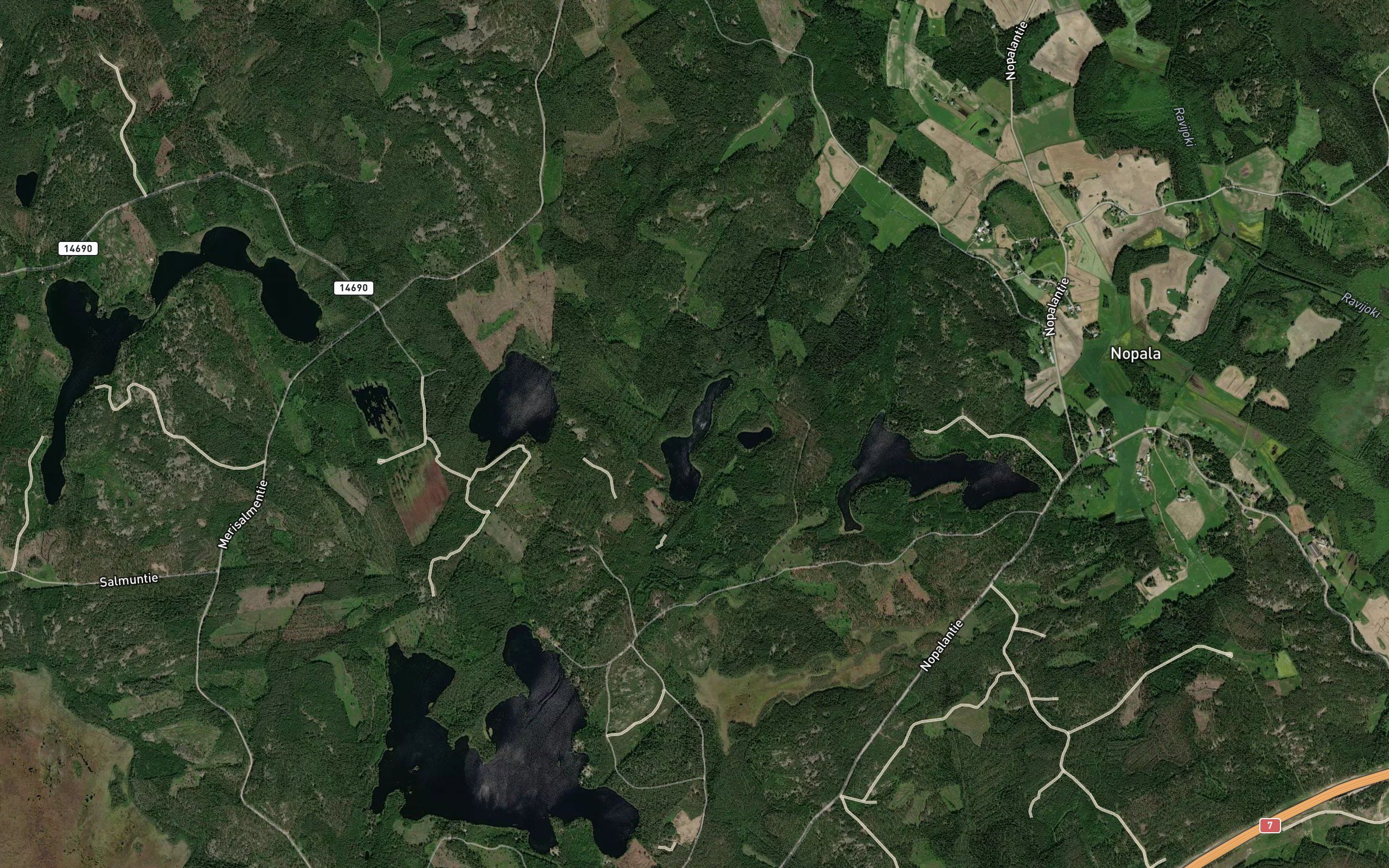 Hirvilammit