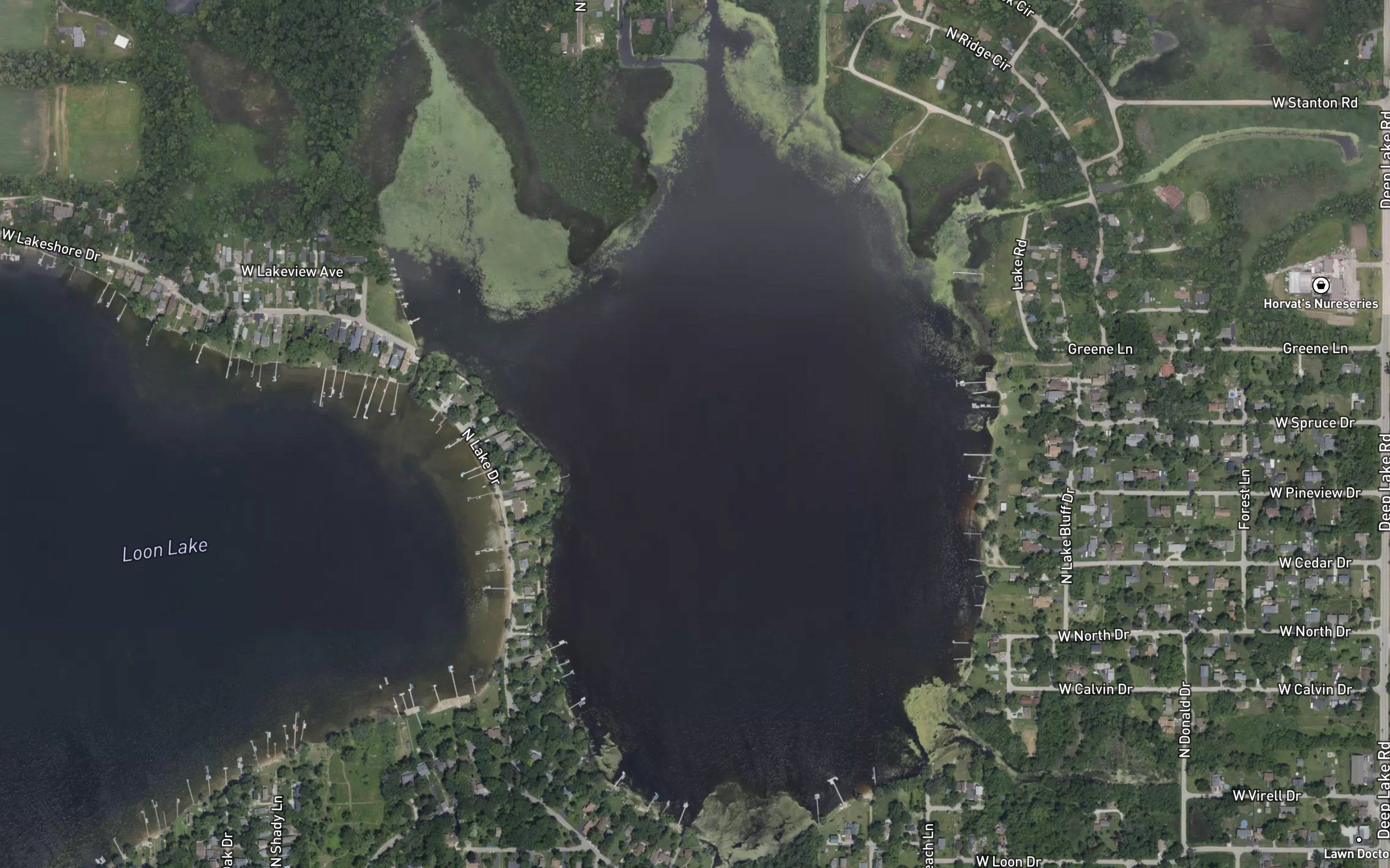 East Loon Lake