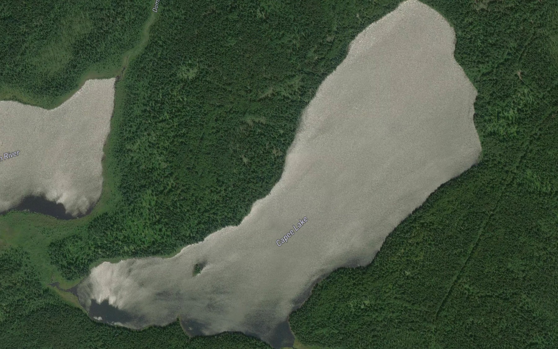 Satellite map of the Capee Lake