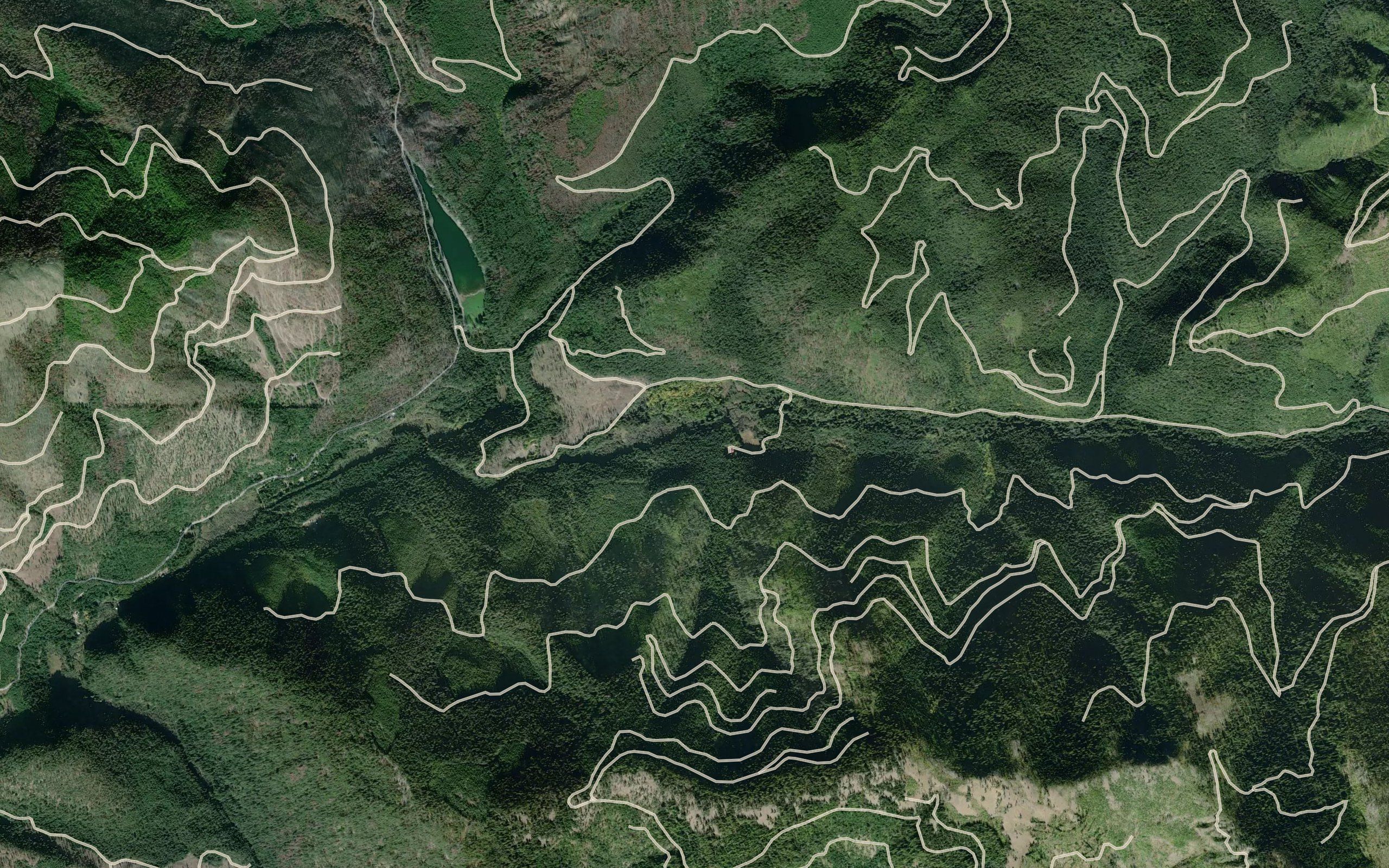 Noseeum Creek