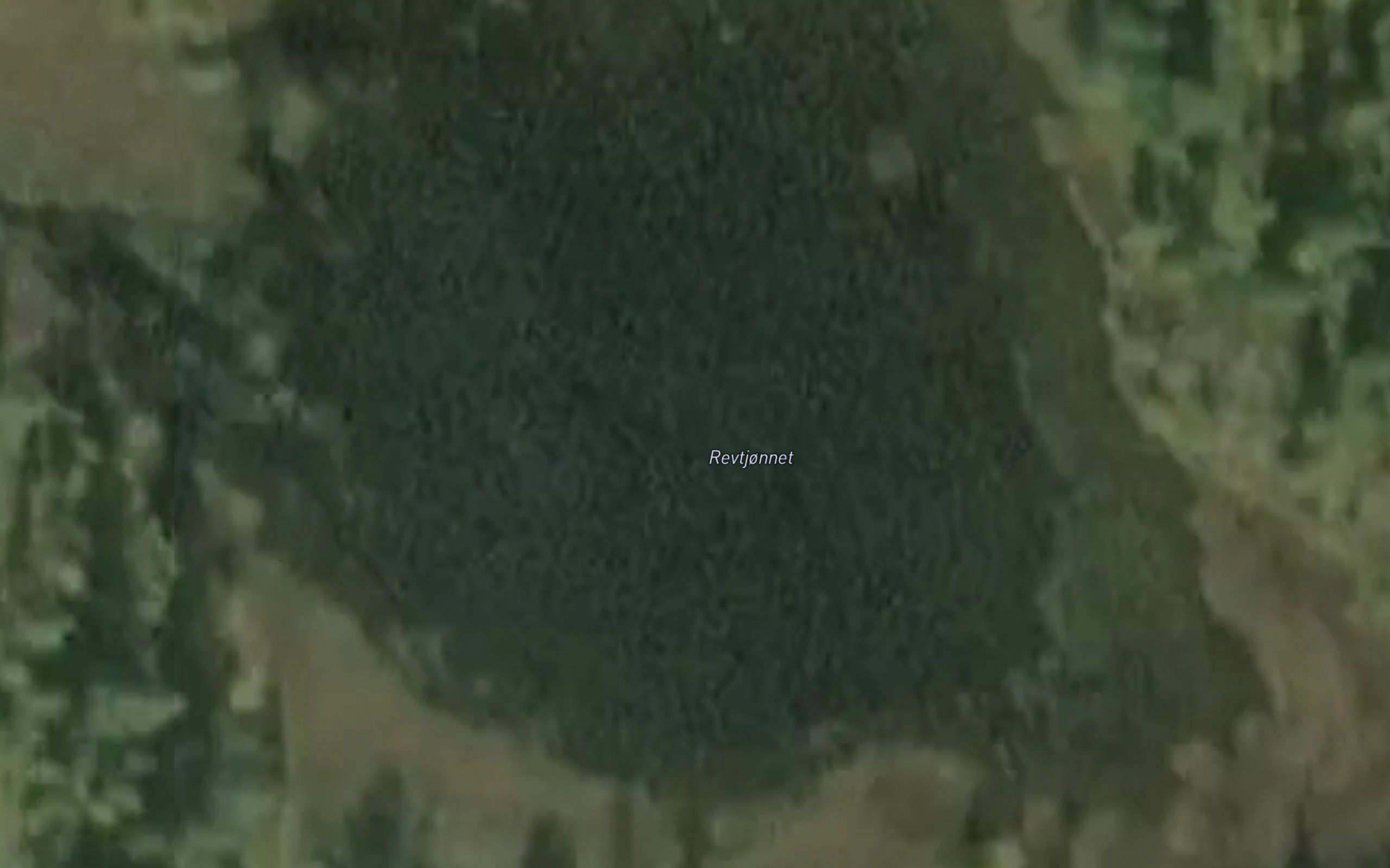 Revtjernet