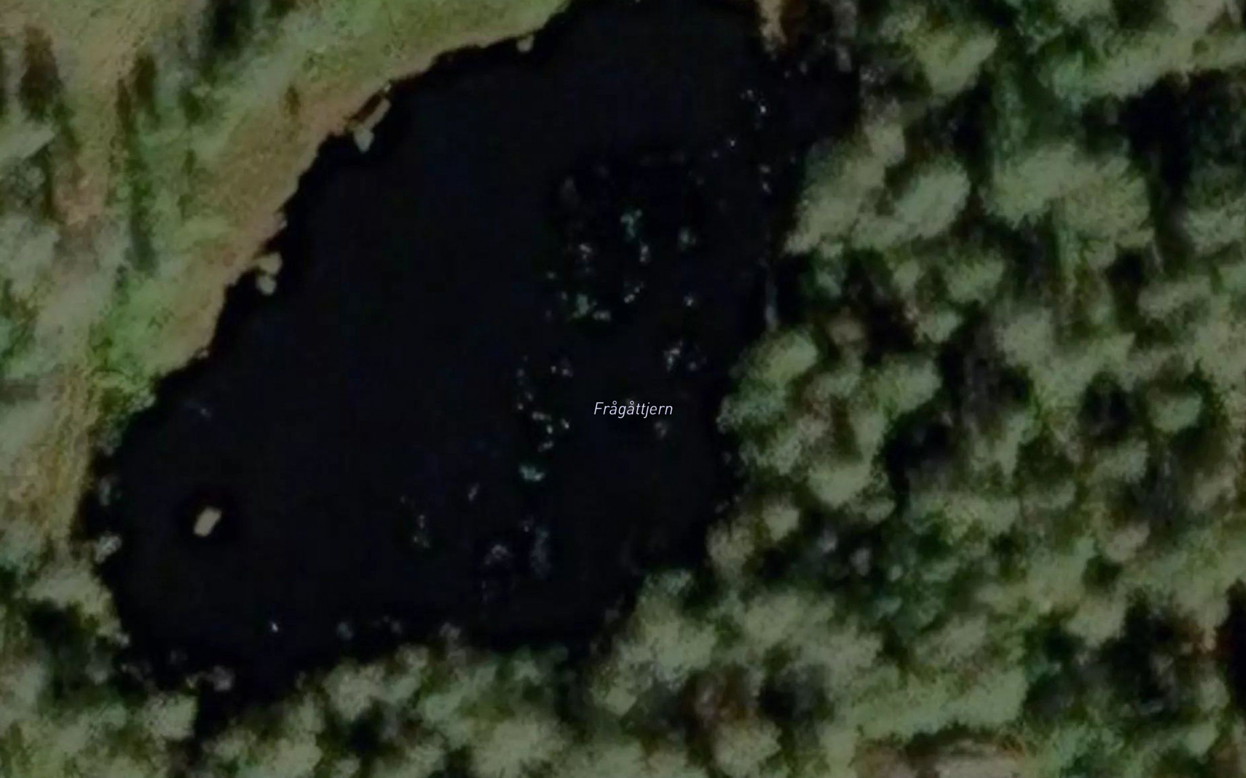 Fragattjern
