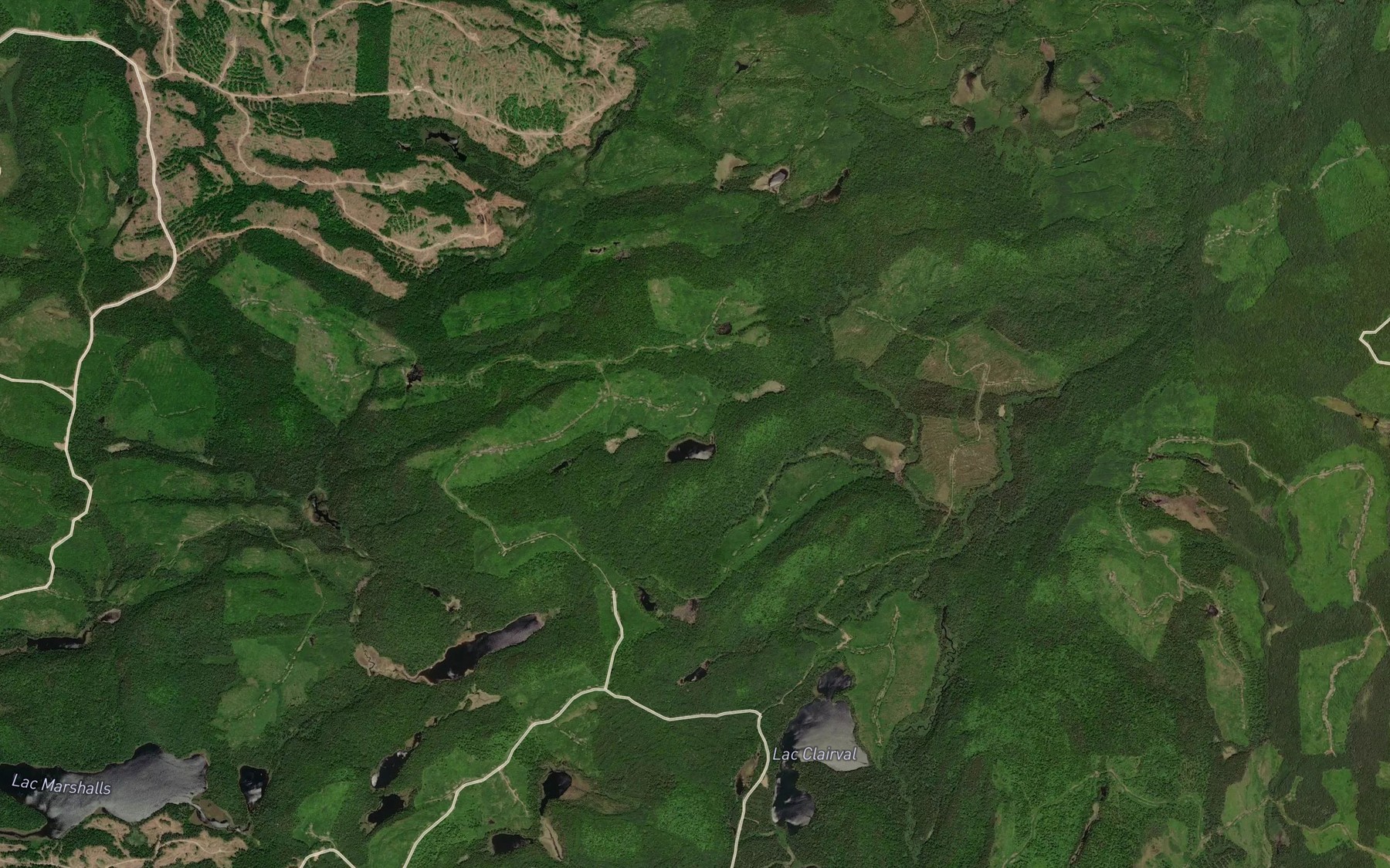 Satellite map of the Lac Oublie
