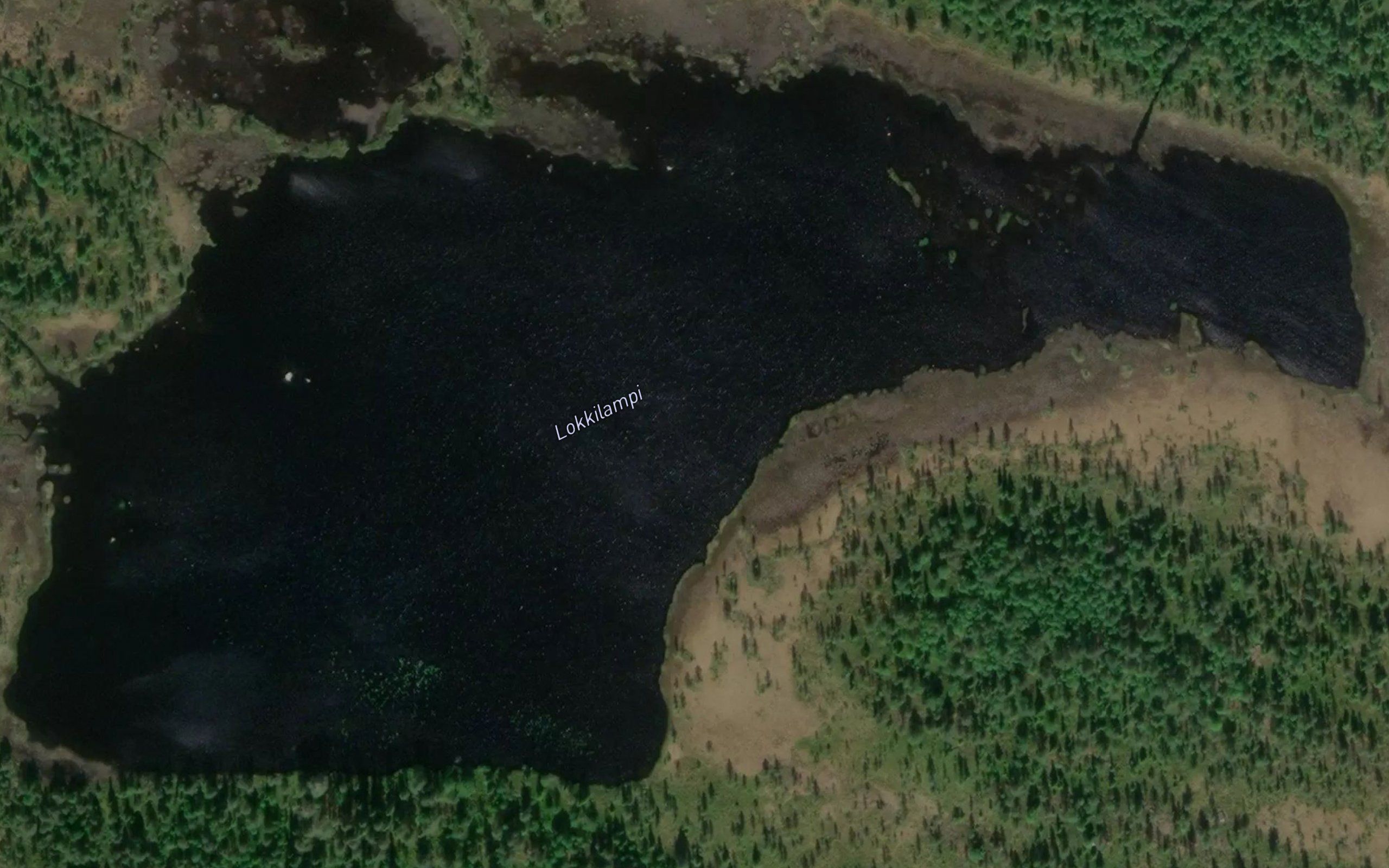 Lokkilampi