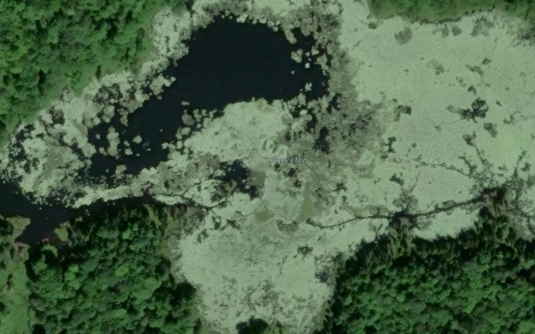 Satellite map of the Lacs a Foin