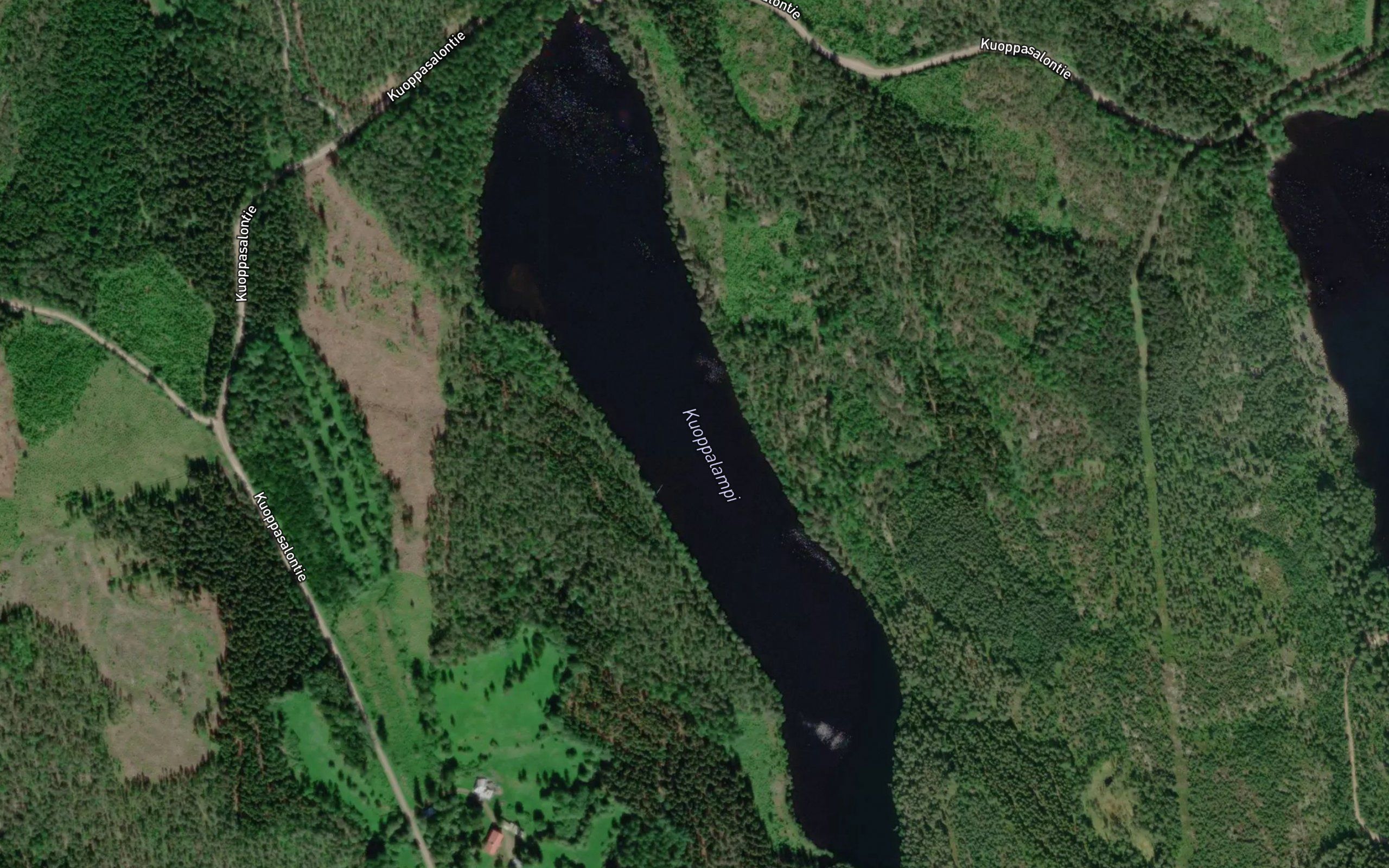 Kuoppalampi