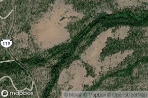 South Fork Logy Creek