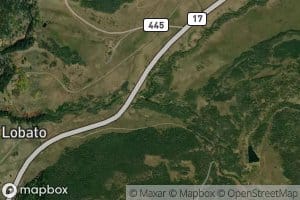 East Fork Wolf Creek