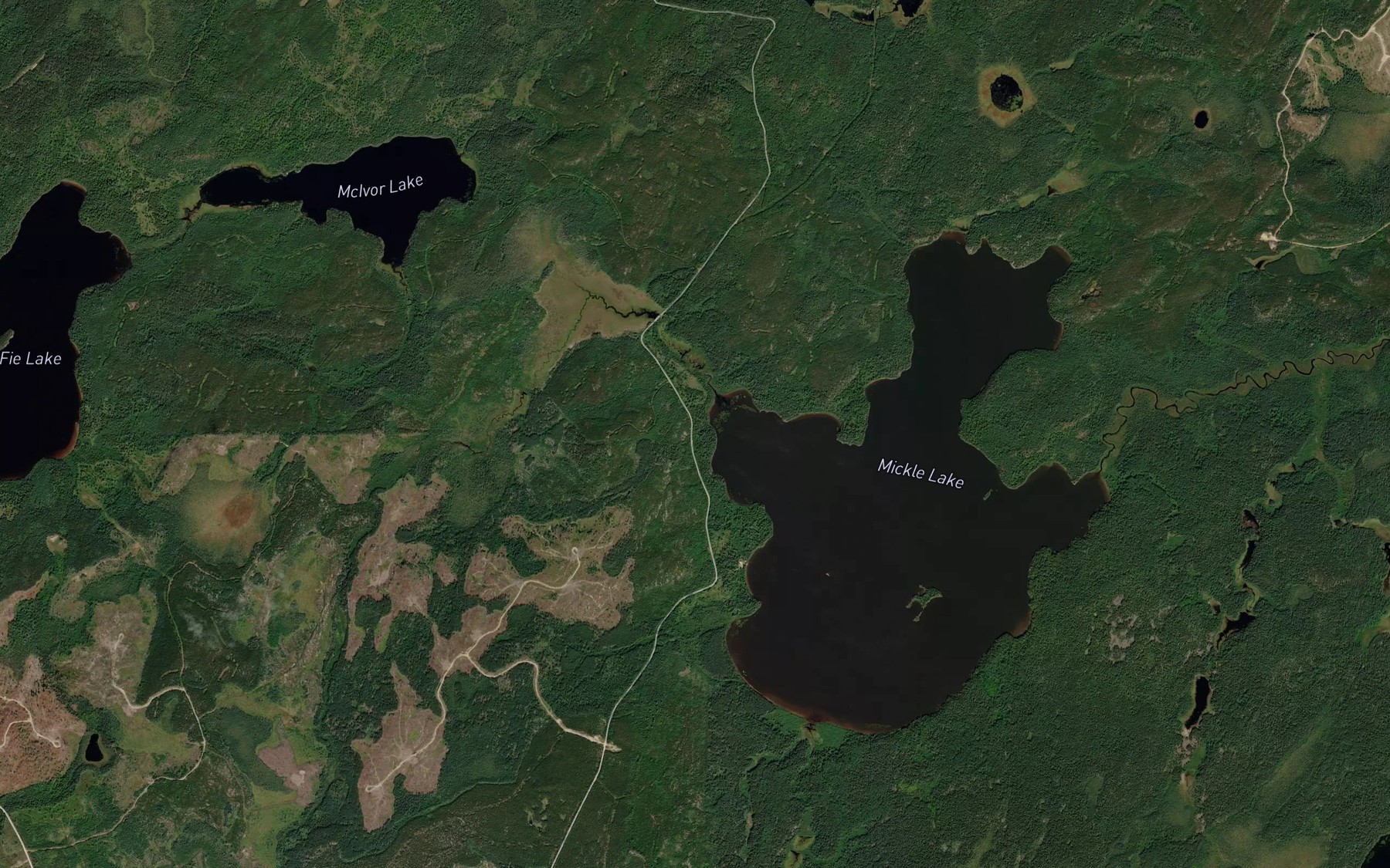 Satellite map of the Mickle Creek