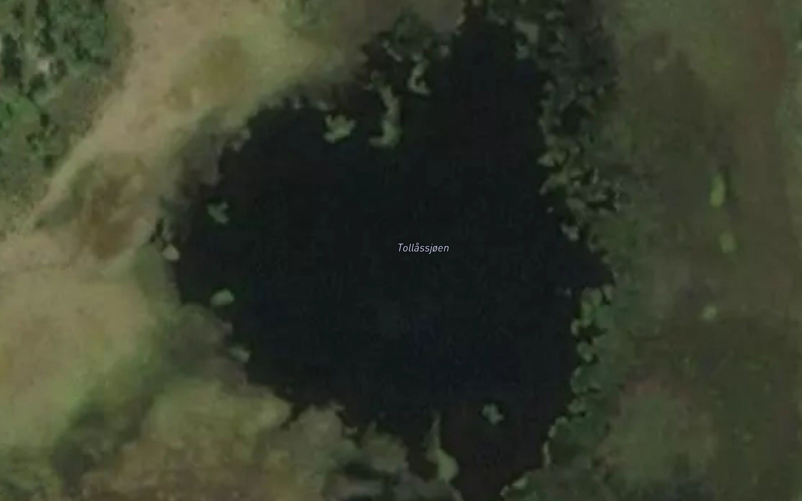 Tollassjoen