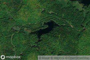 Lac Flynn