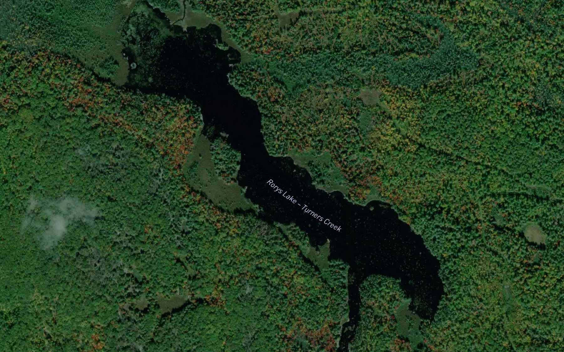 Satellite map of the Rorys Lake