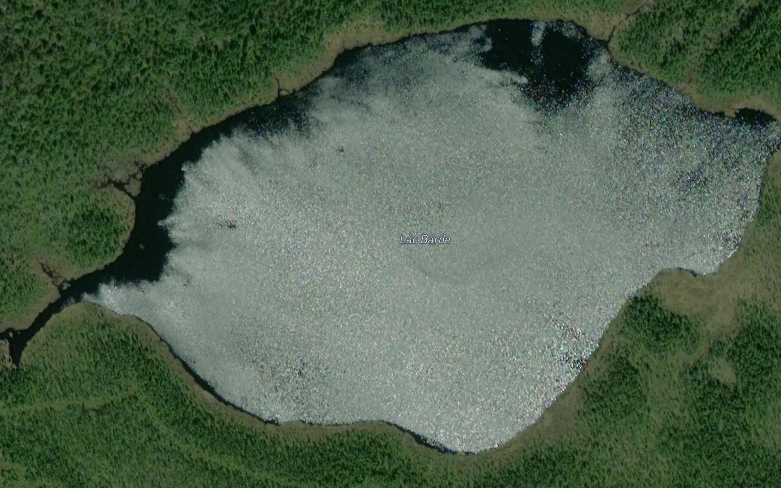 Lac Barde