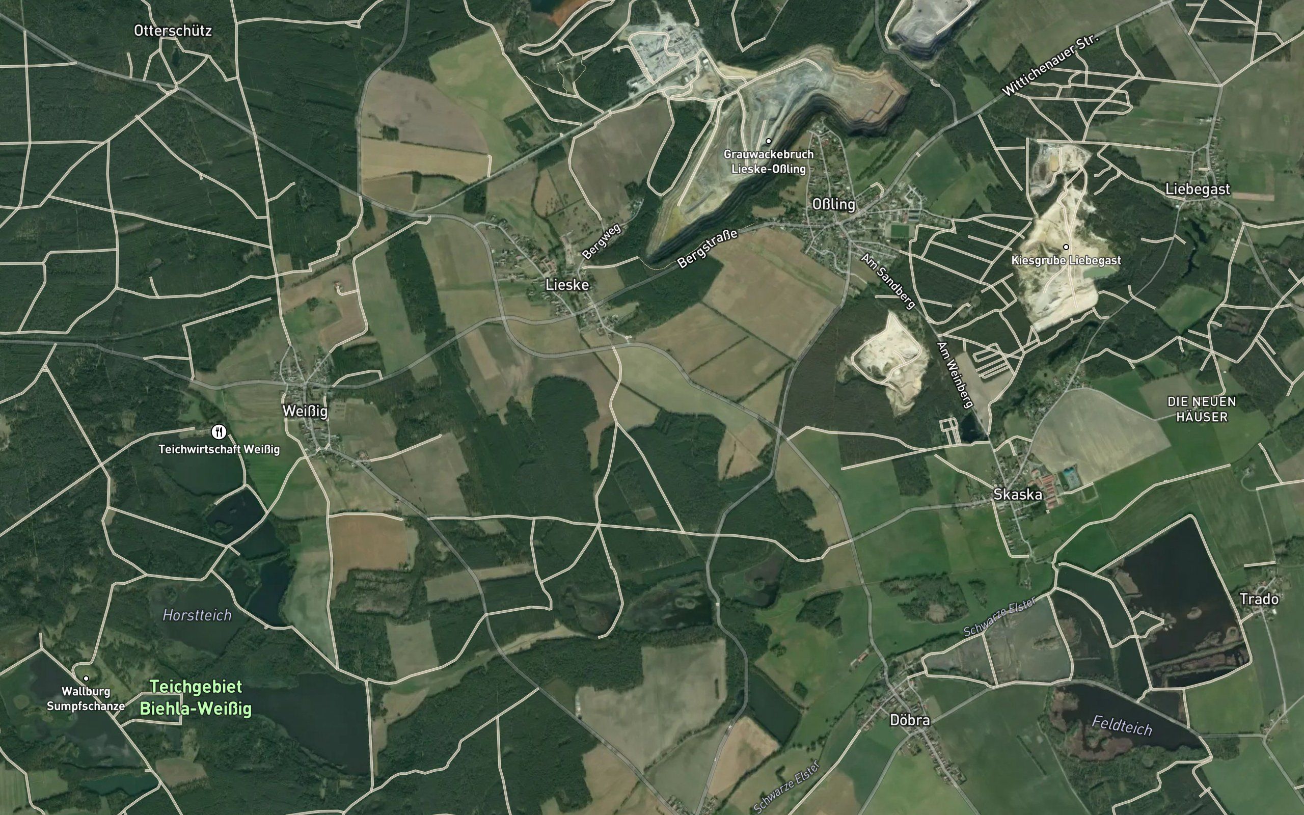 Grosser Forst Teich