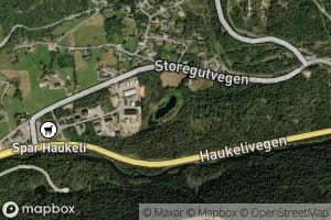Midtveittjonni