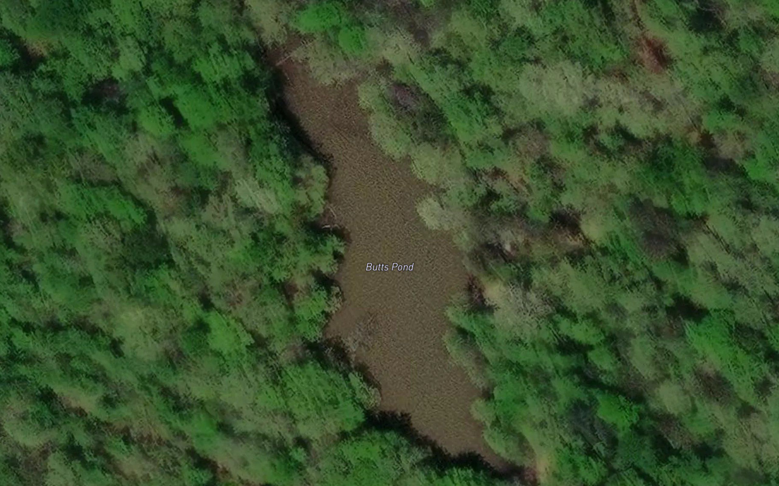 Butts Pond