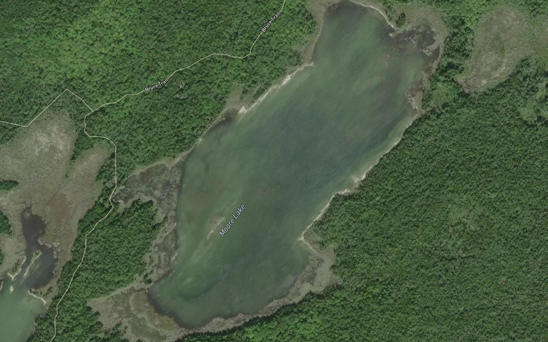 Satellite map of the Moore Lake