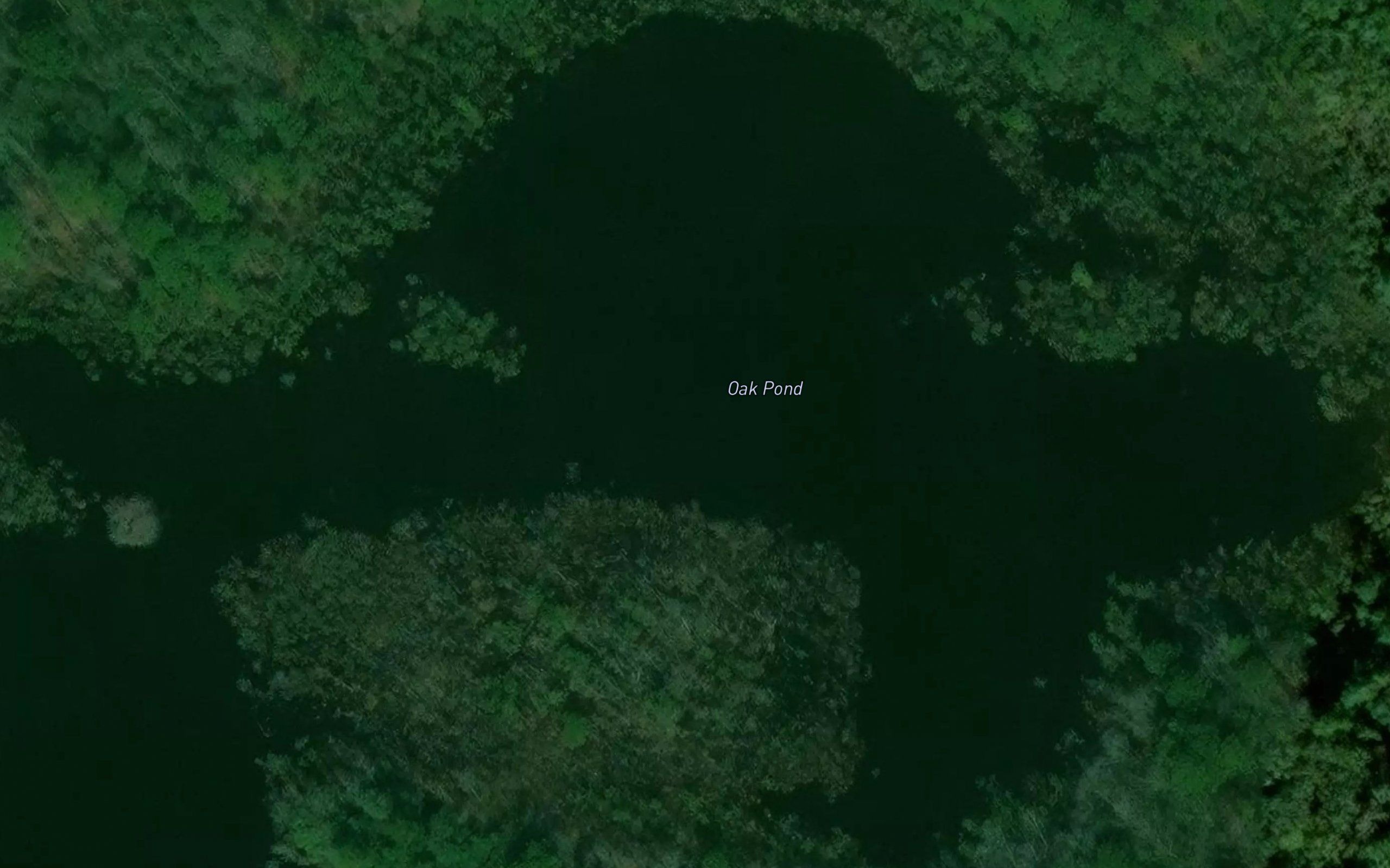 Oak Pond