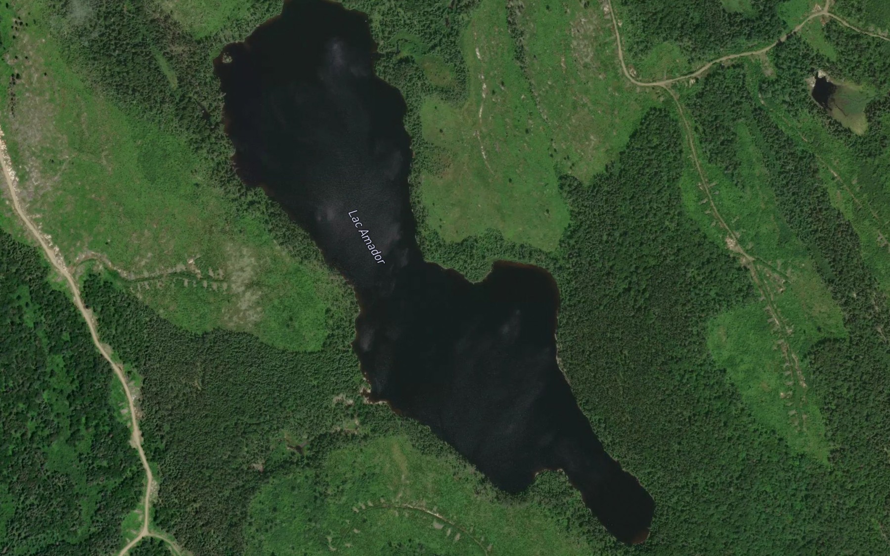 Satellite map of the Lac Amador