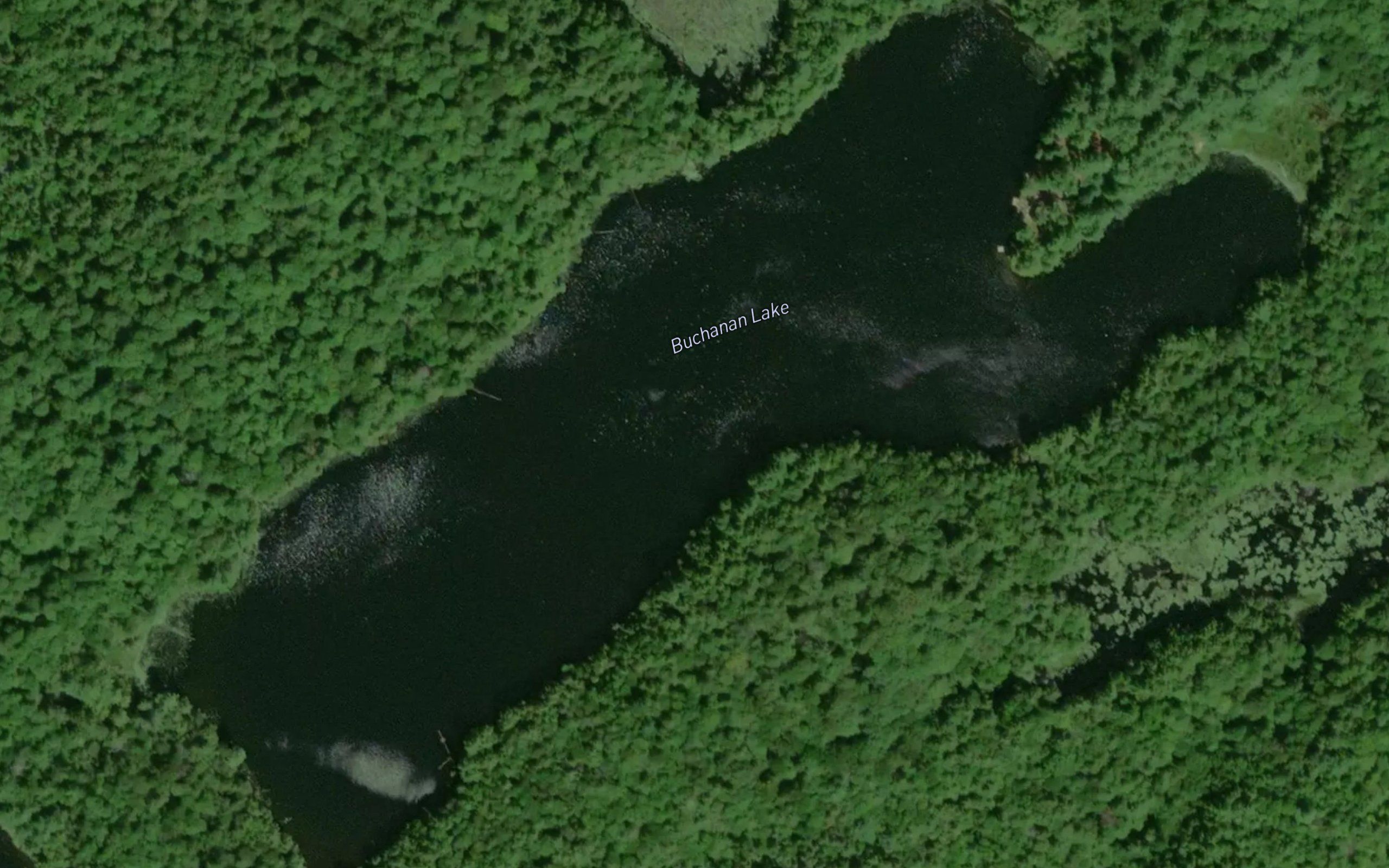 Buchanan Lake