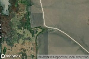 Bird Waterhole