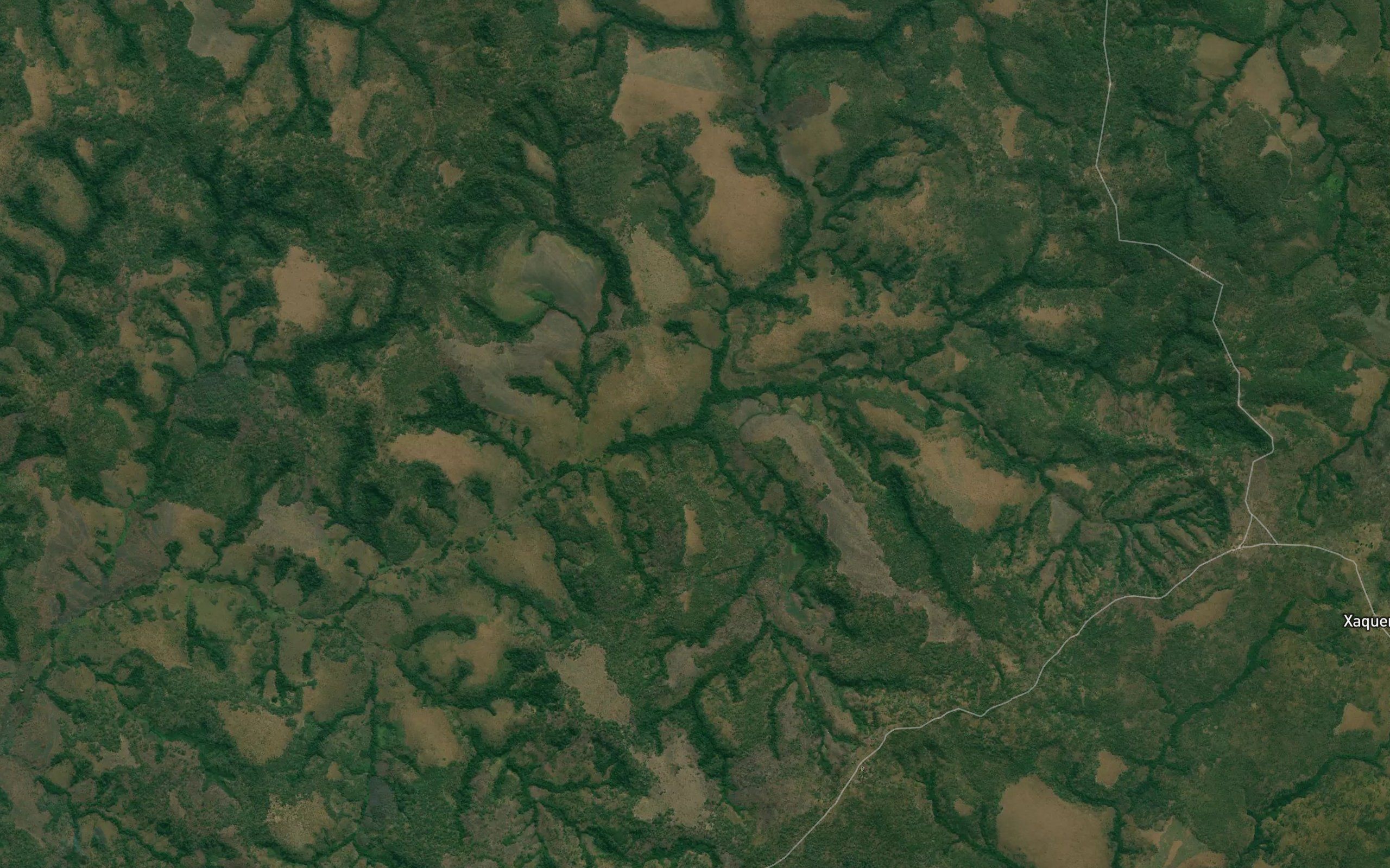 Chipuringa