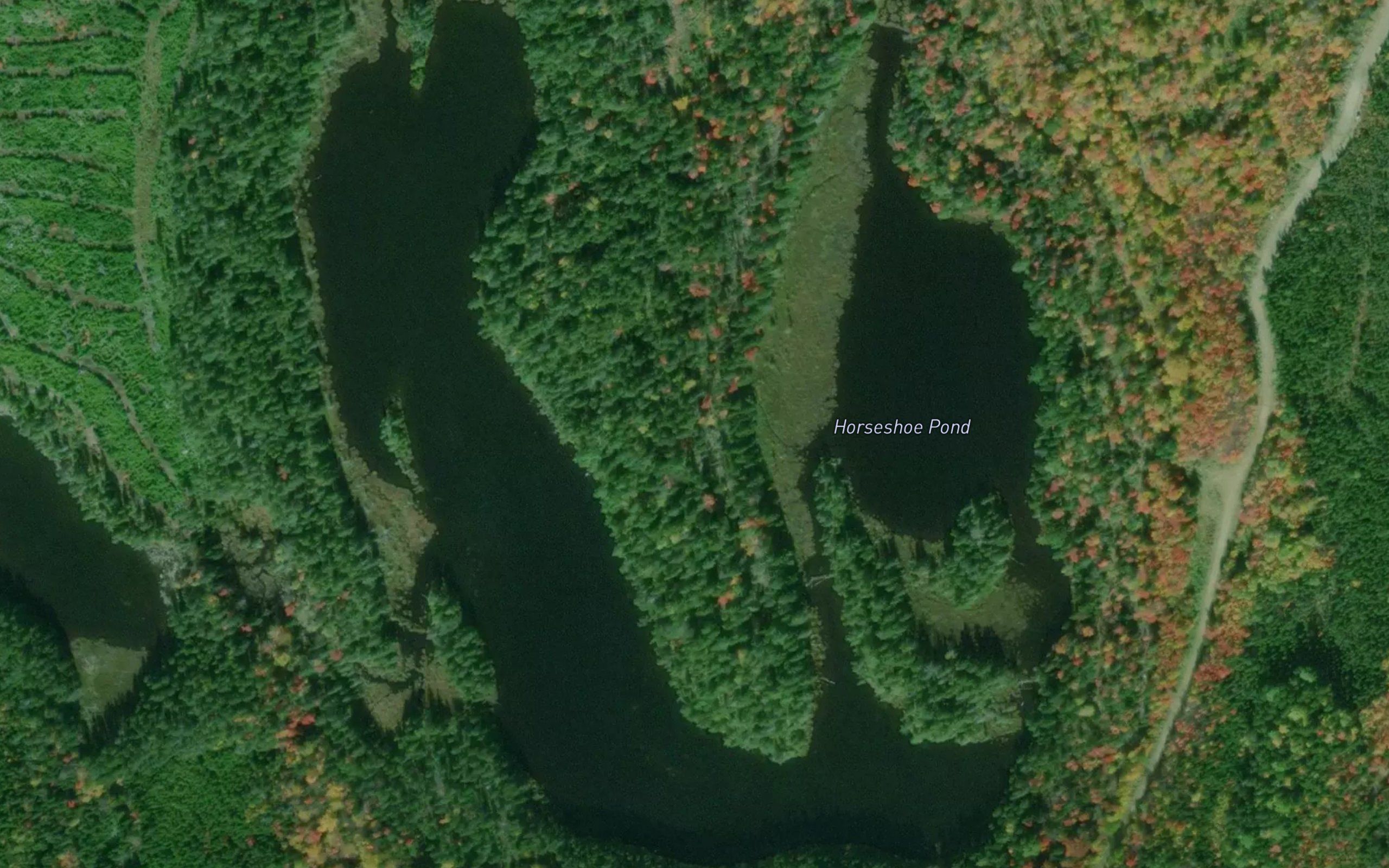 Horseshoe Pond