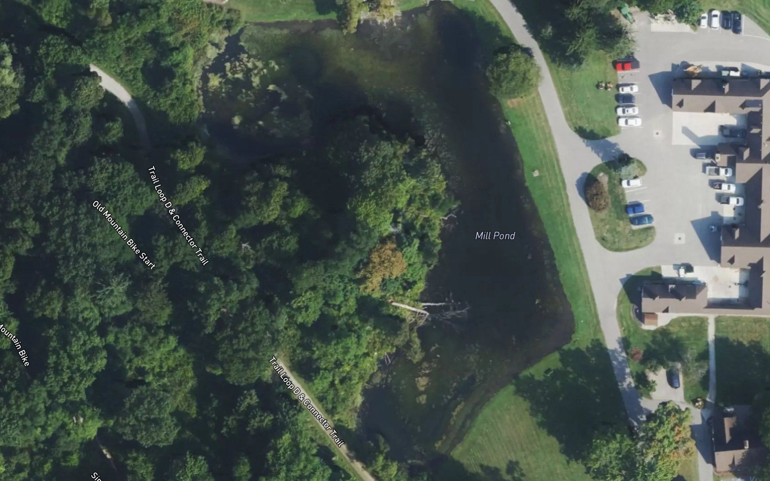 Mill Pond