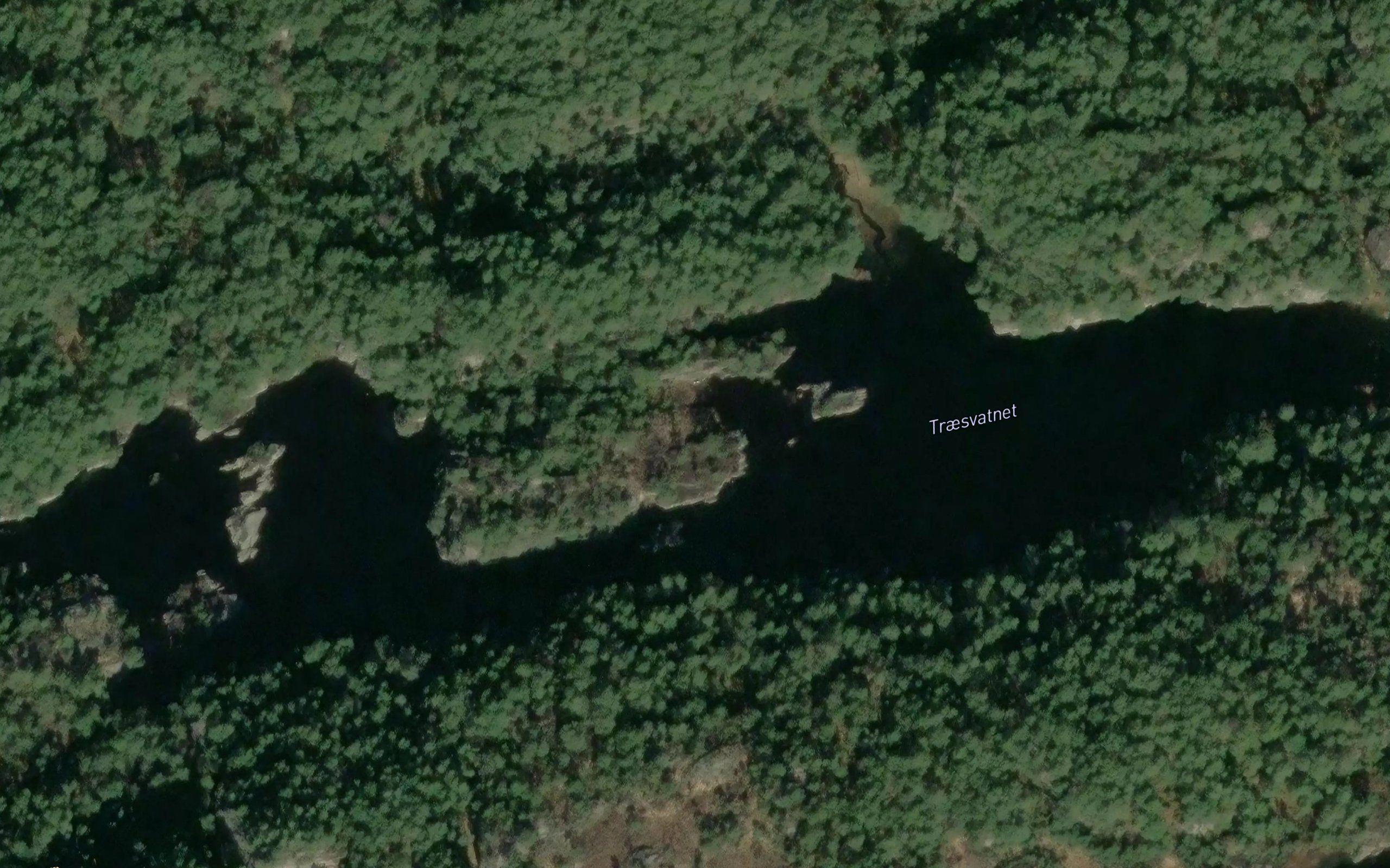 Tressvatnet