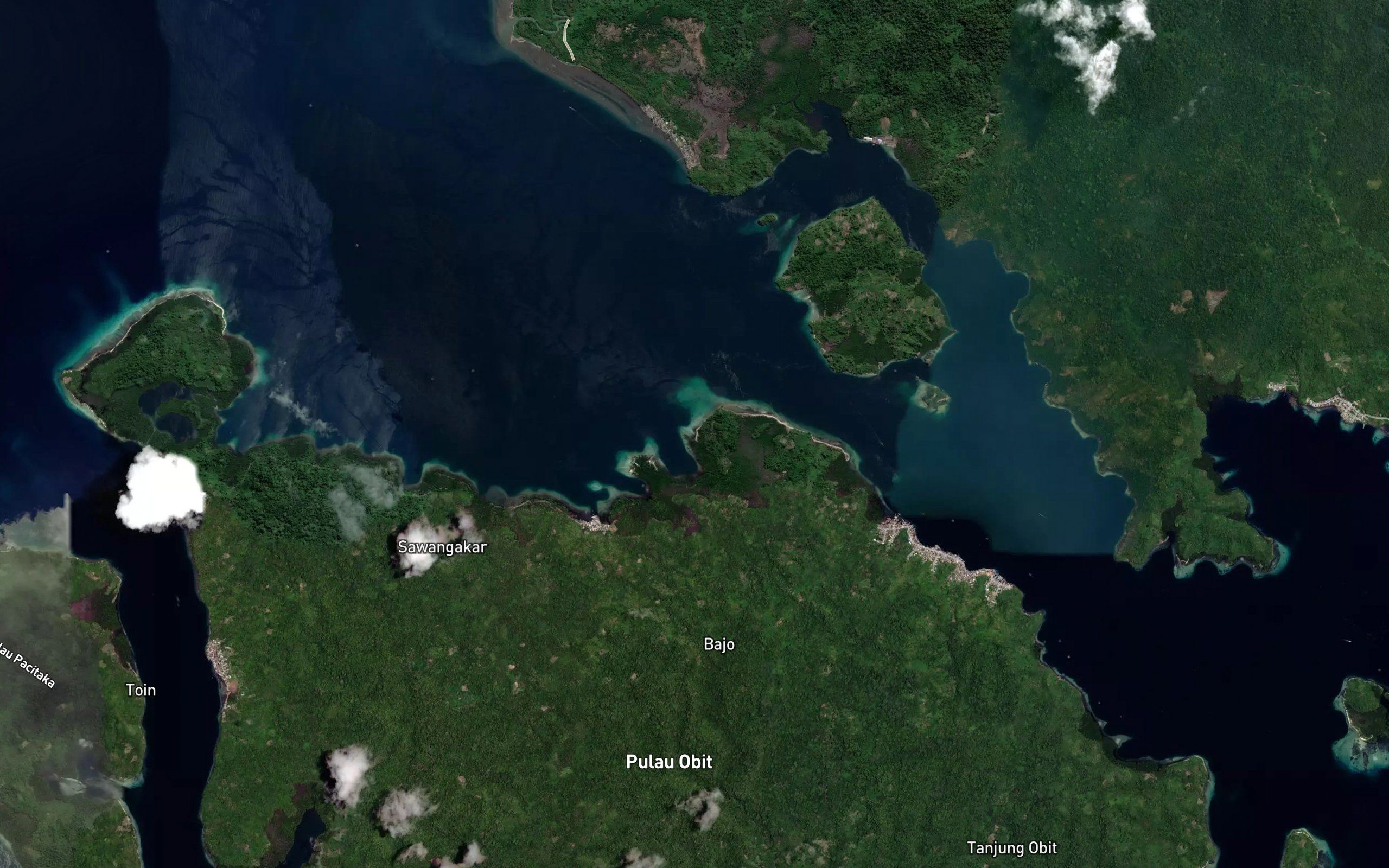 Teluk Dambaku