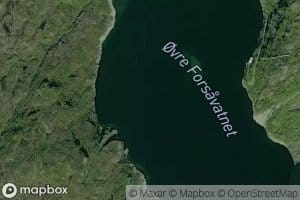 Forsavatna