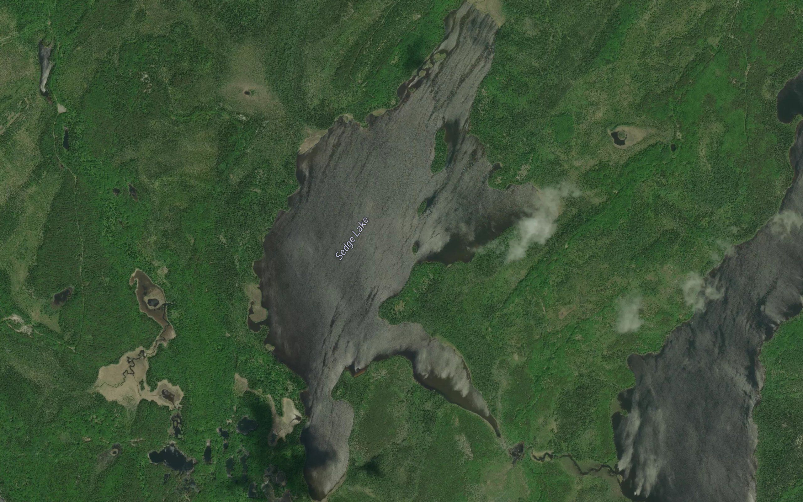 Sedge Lake
