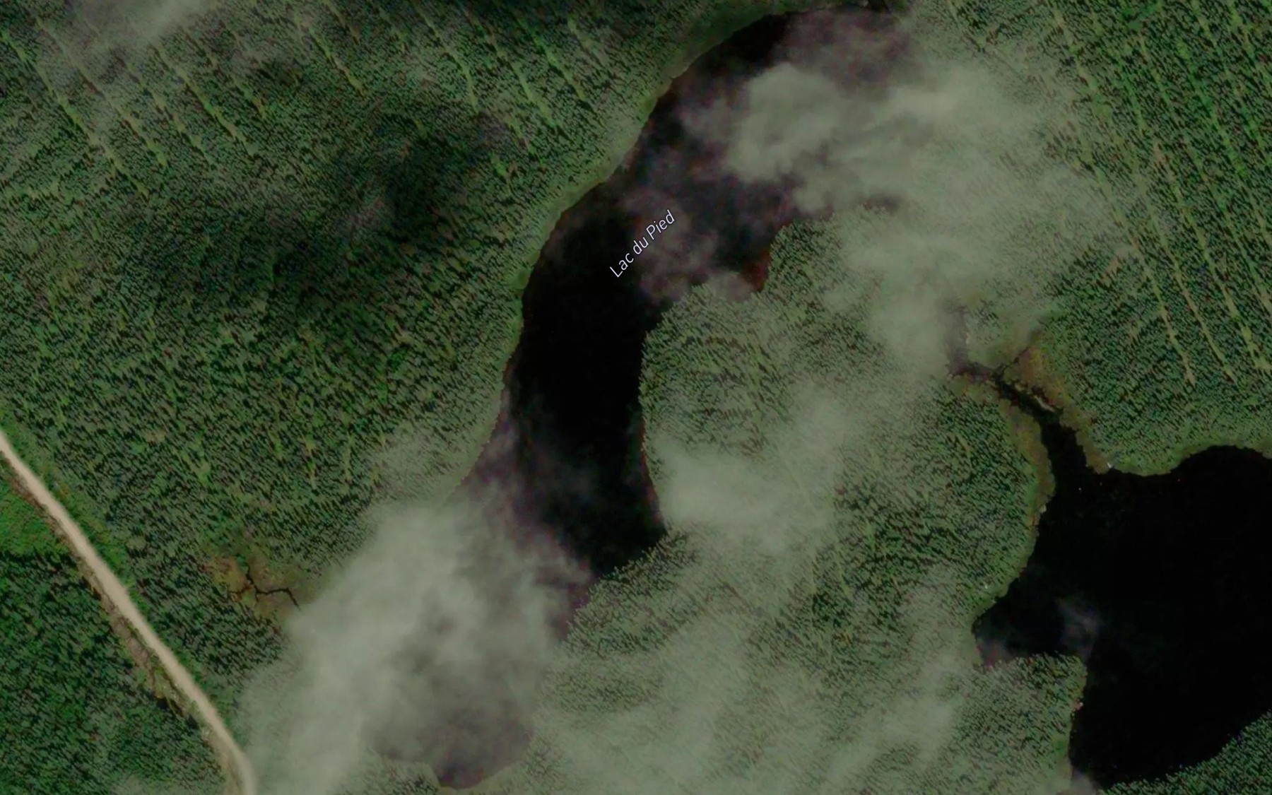 Satellite map of the Lac du Pied