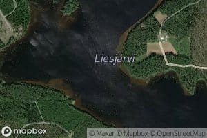 Liesjarvi