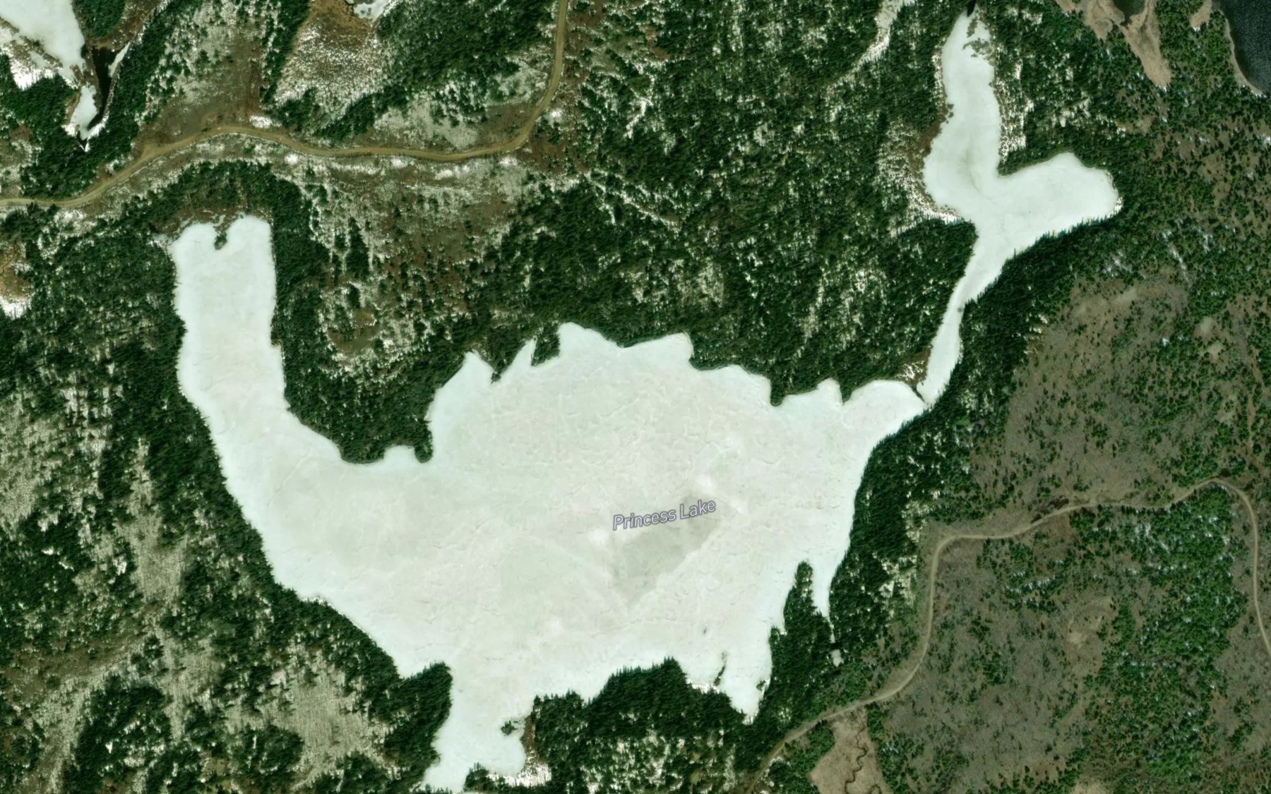 Satellite map of the Princess Lake