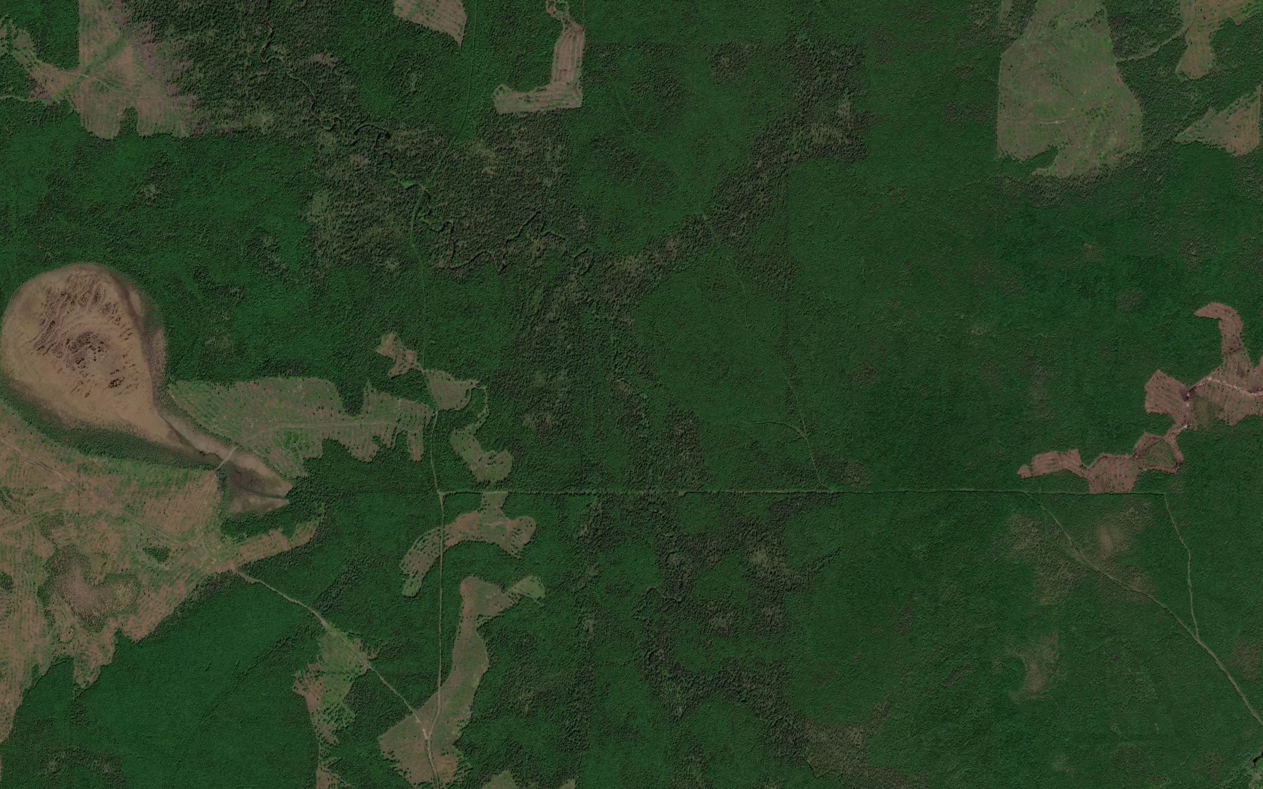 Baynikha