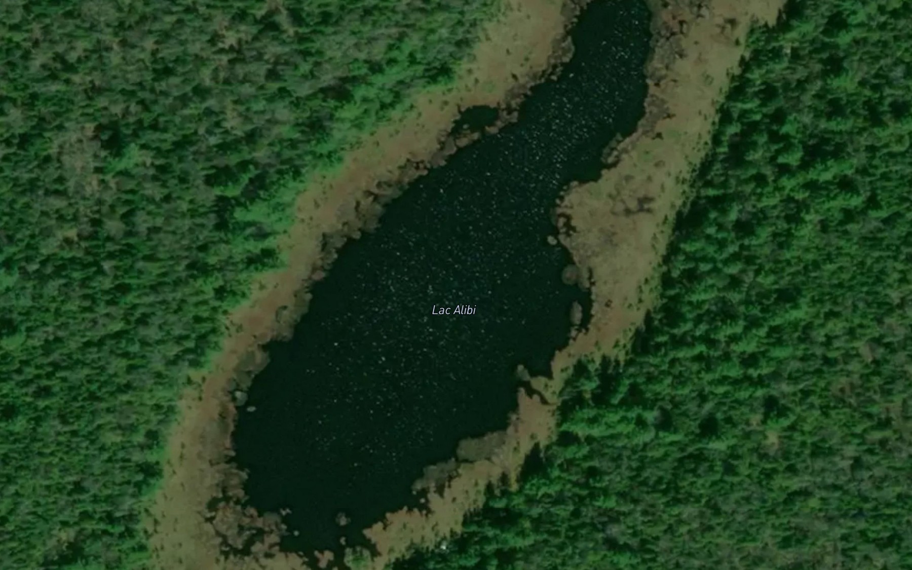 Satellite map of the Lac Alibi