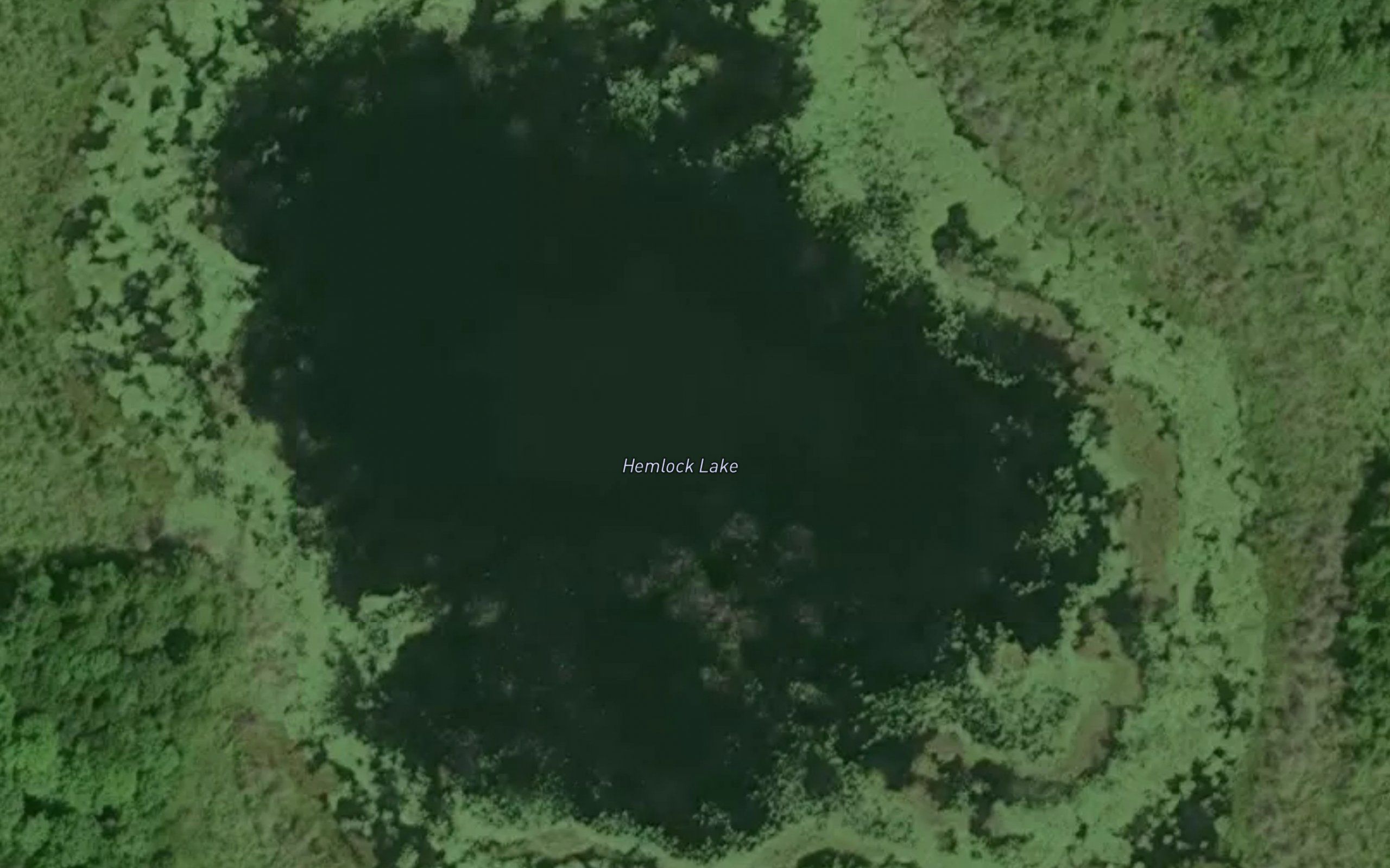 Hemlock Lake