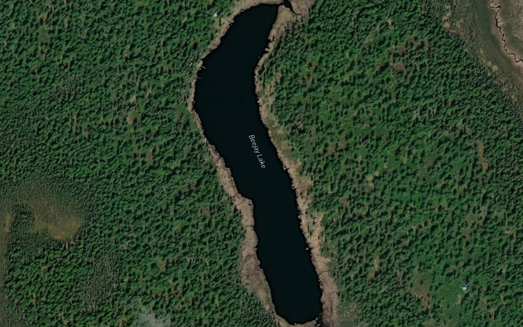 Satellite map of the Beejay Lake