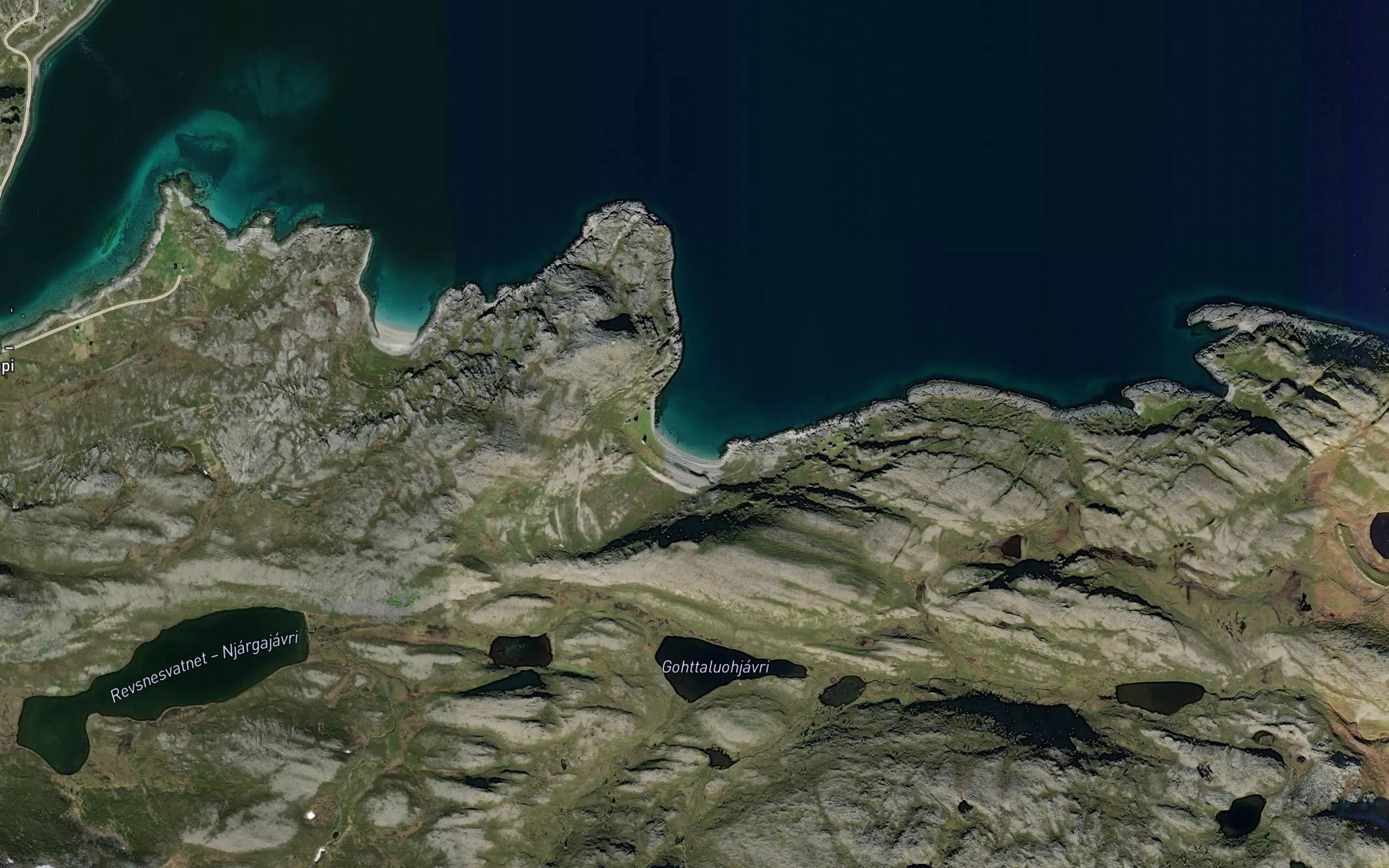 Gattaluokta