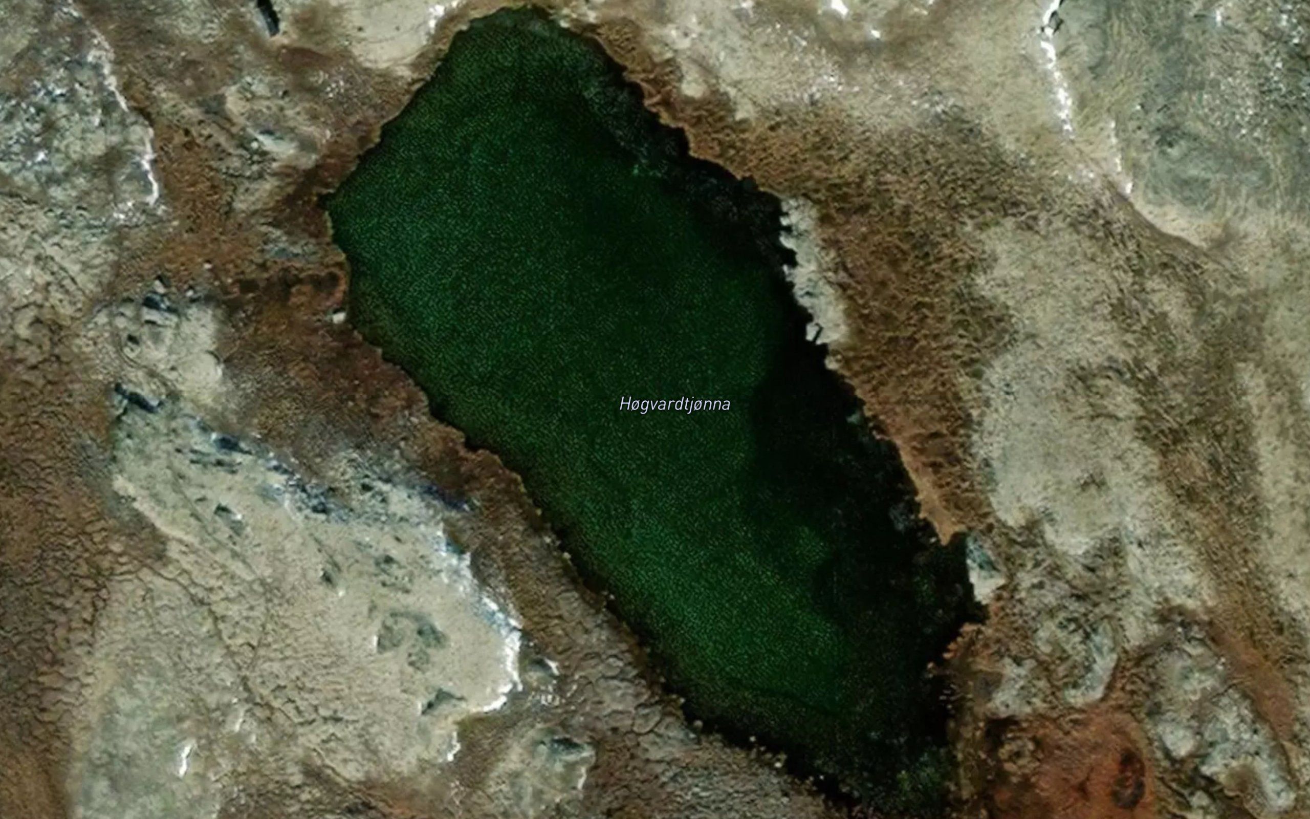 Hogvardetjorna