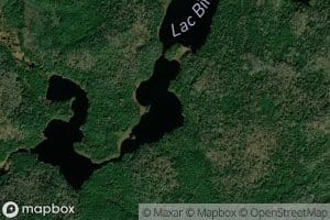 Lac Bifid