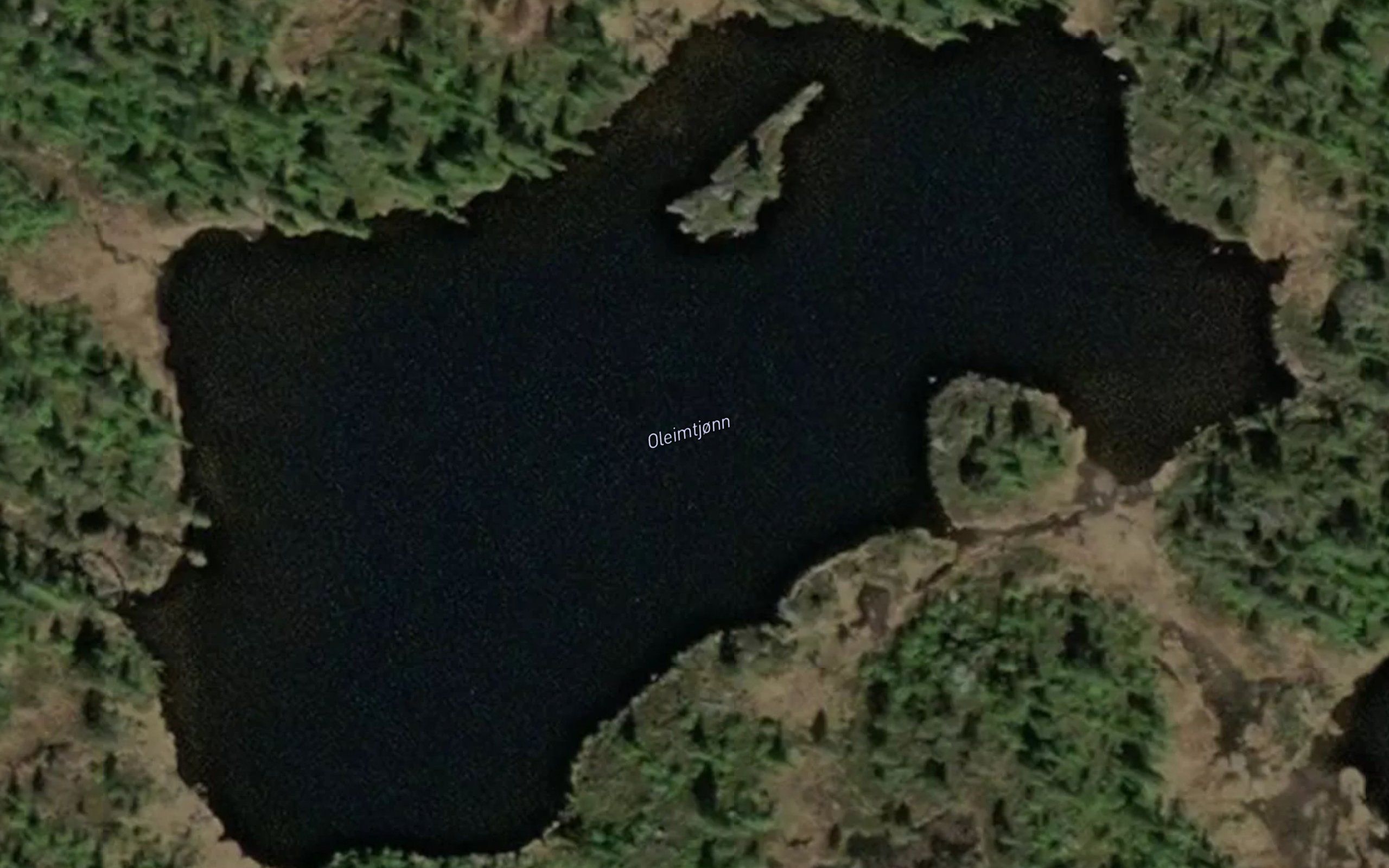 Oleimtjonn