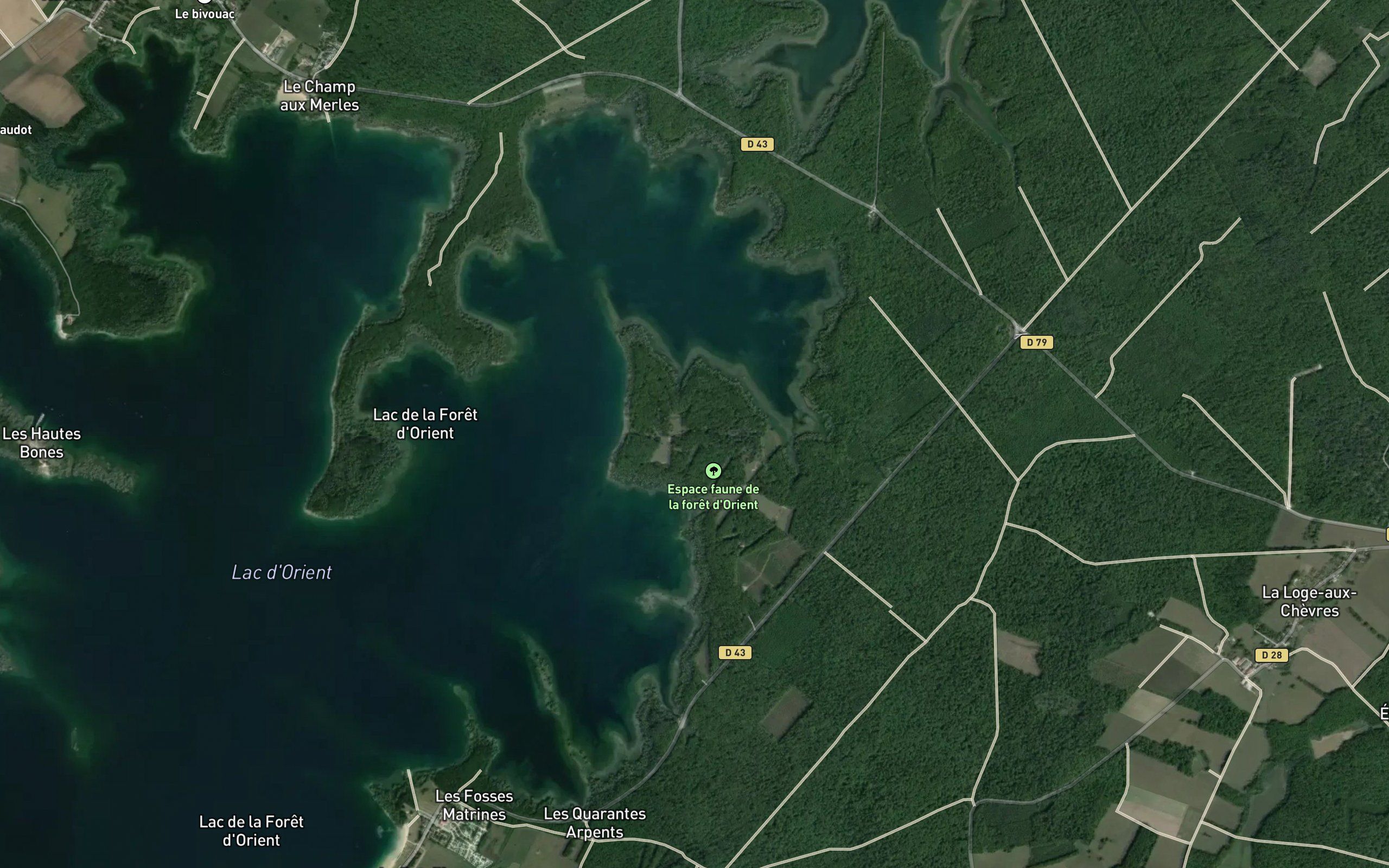 Etang de la Morge des Bois