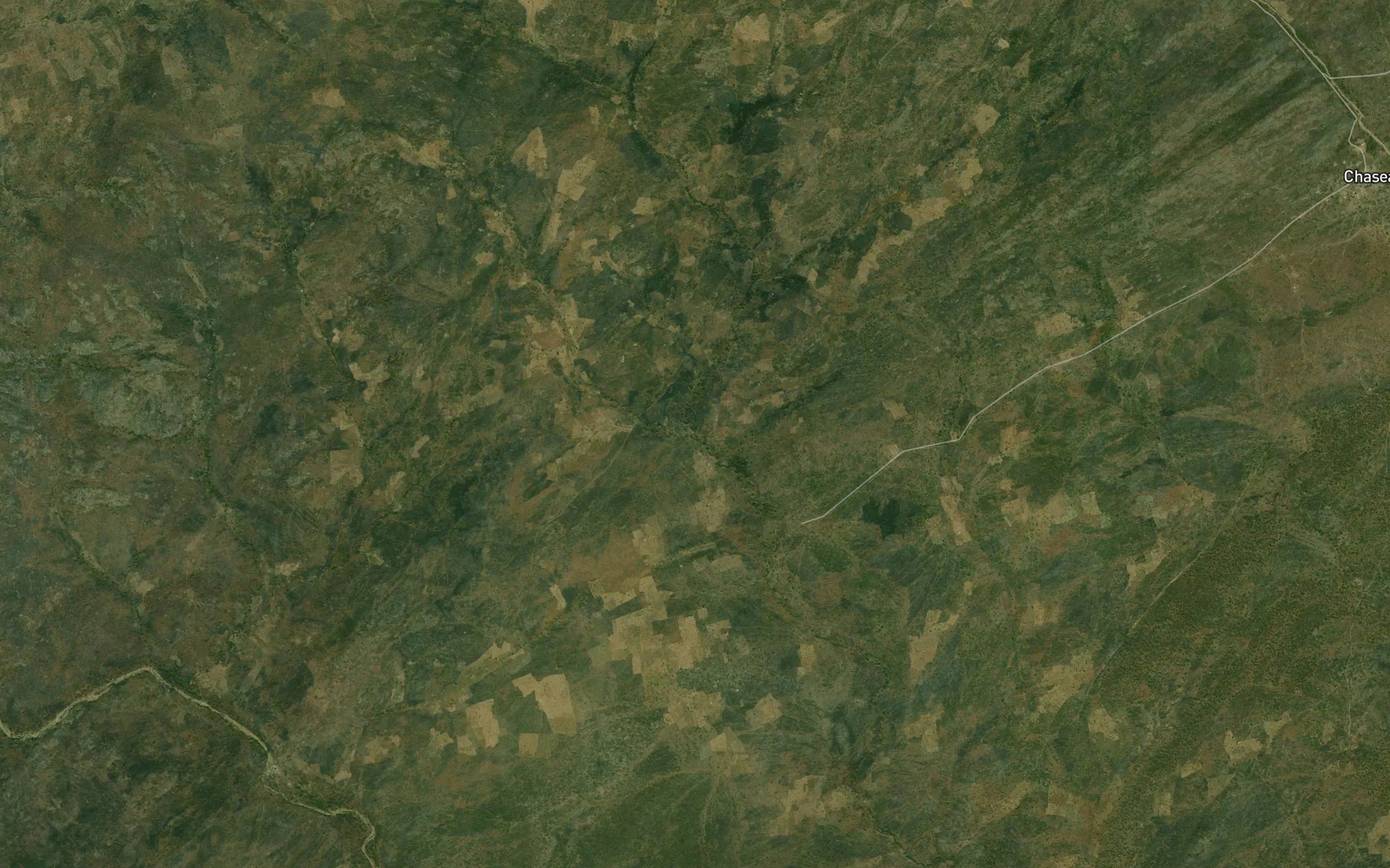 Gogubor