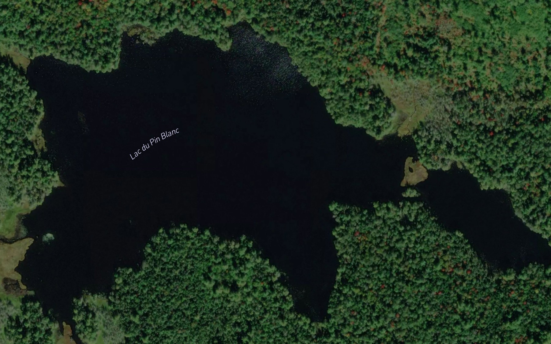 Satellite map of the Lac du Pin Blanc
