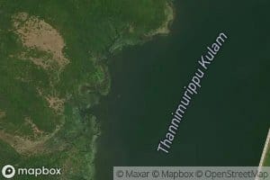 Tannimurippu Kulam